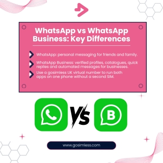 WhatsApp vs WhatsApp Business: Key Differences Explained